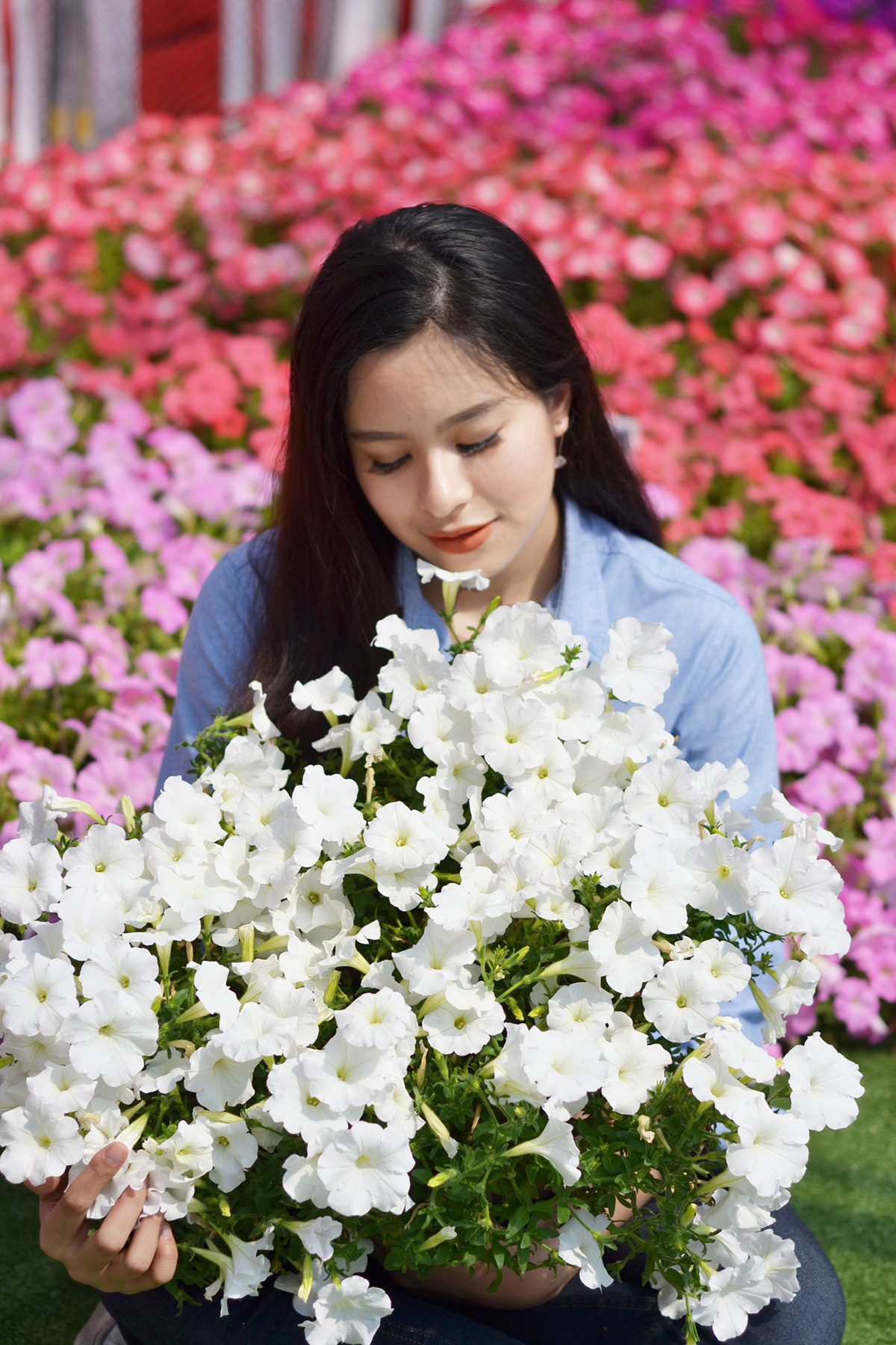 Hotunia-1