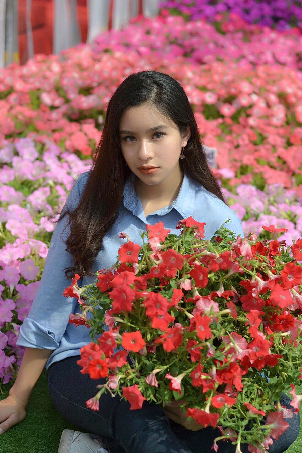 Hotunia-2